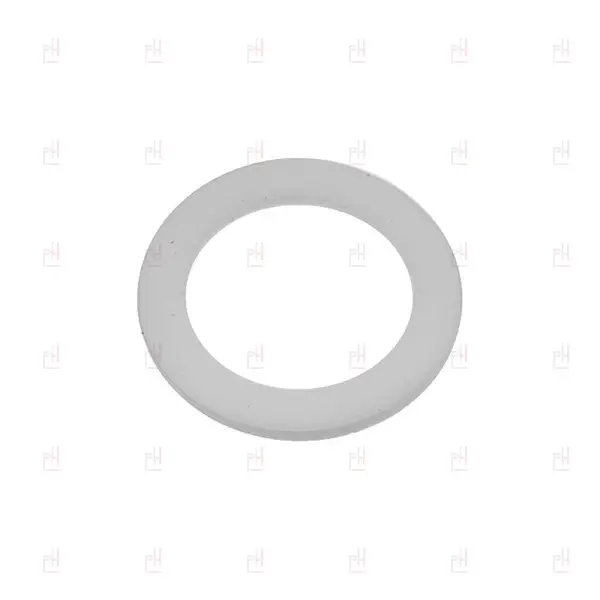 ELEMENT GASKET FLAT PTFE 57x43x3 ASTORIA/WEGA image